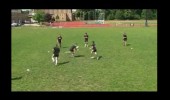 Lateral passing & miss pass with follow in 3s